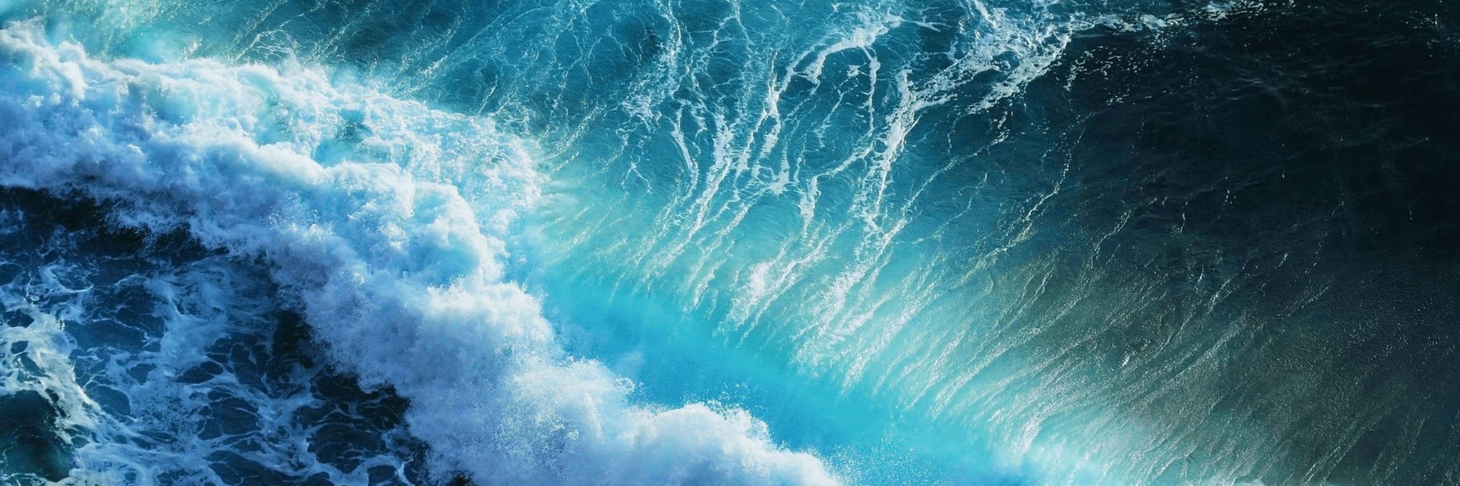 🦘𝓑𝓸𝓷𝓭𝓲 𝓚𝓪𝓷𝓰𝓪𝓻𝓸𝓸🌺🌊