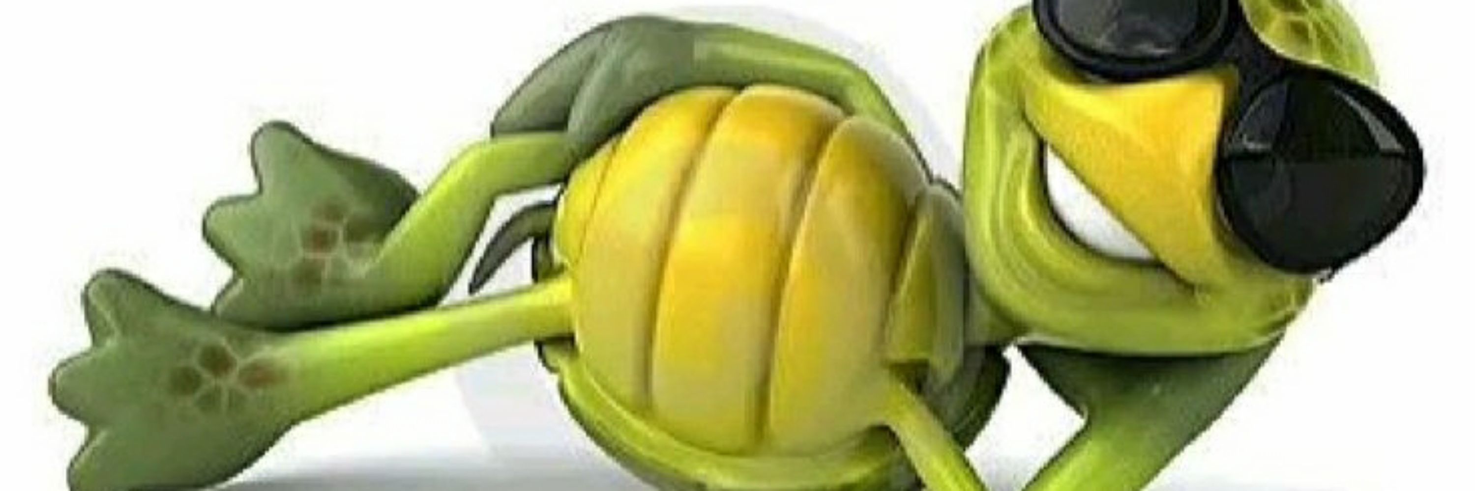 TartarugaDOmato