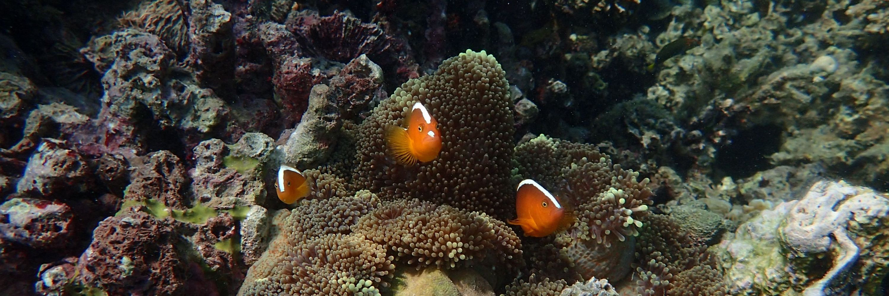 AquaworldAquarium.com