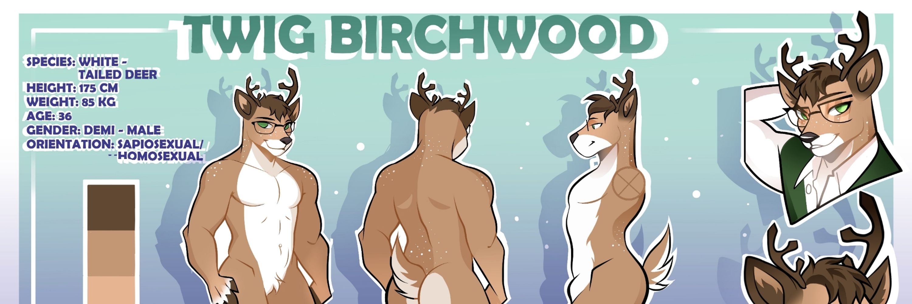 Twig Birchwood