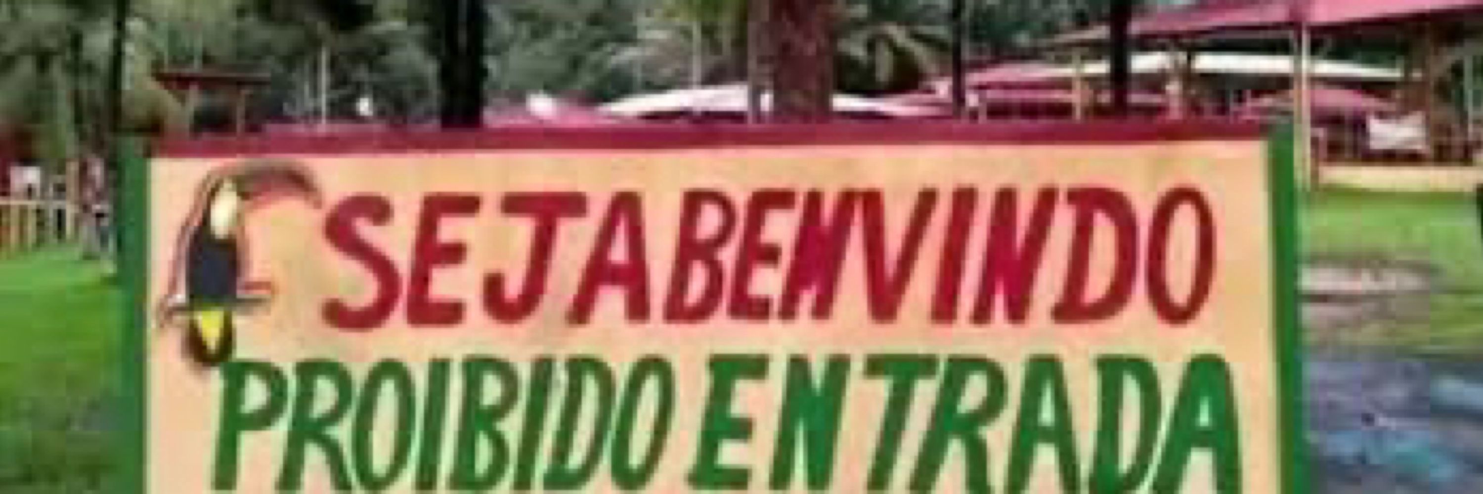 fernandinha