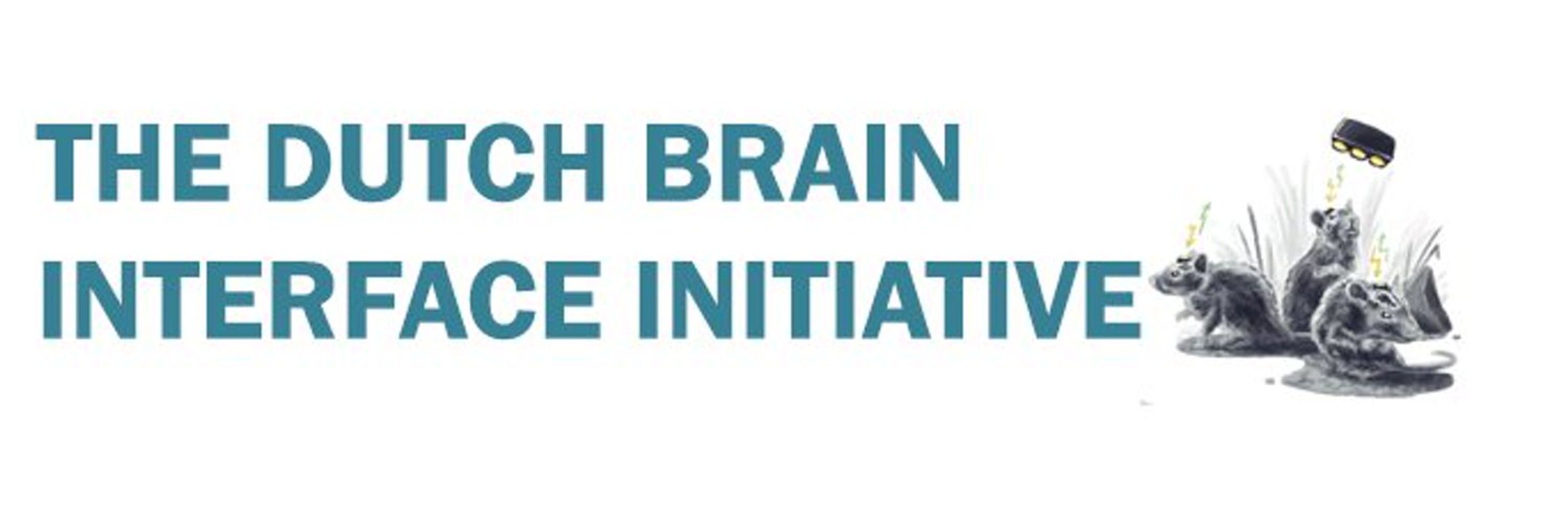 Dutch Brain Interface Initiative