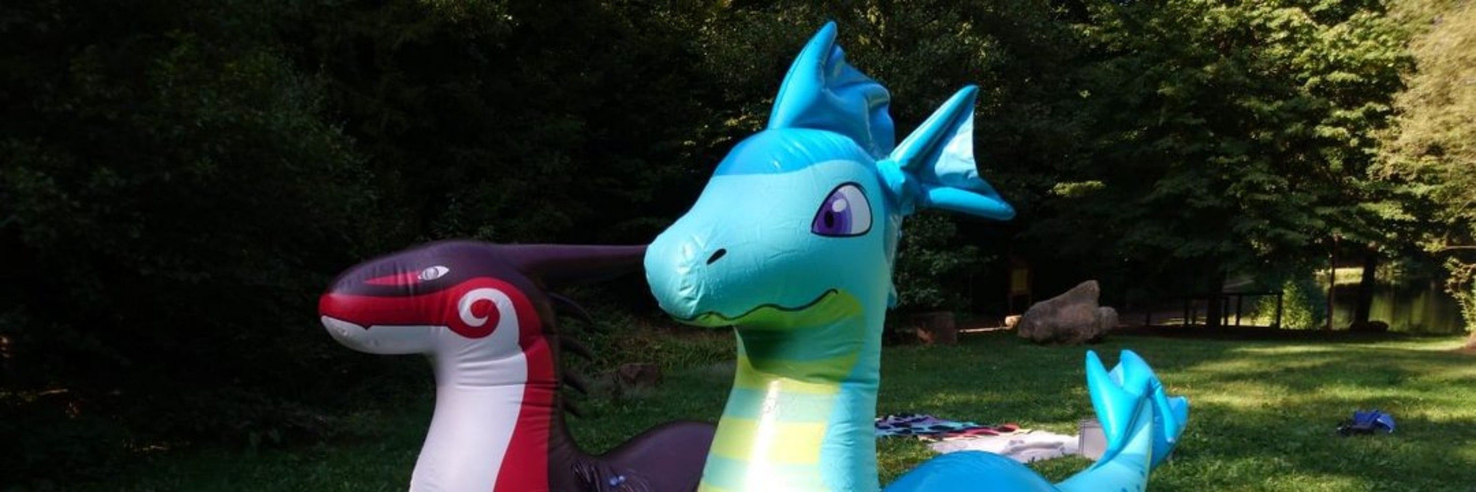 Arkyderg 