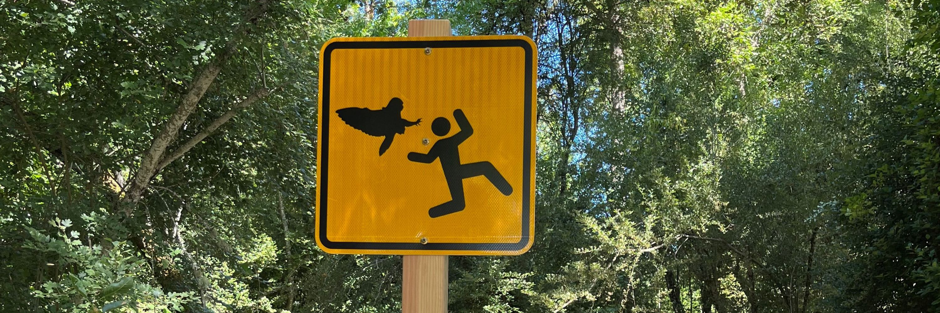 Bitchy Witchy
