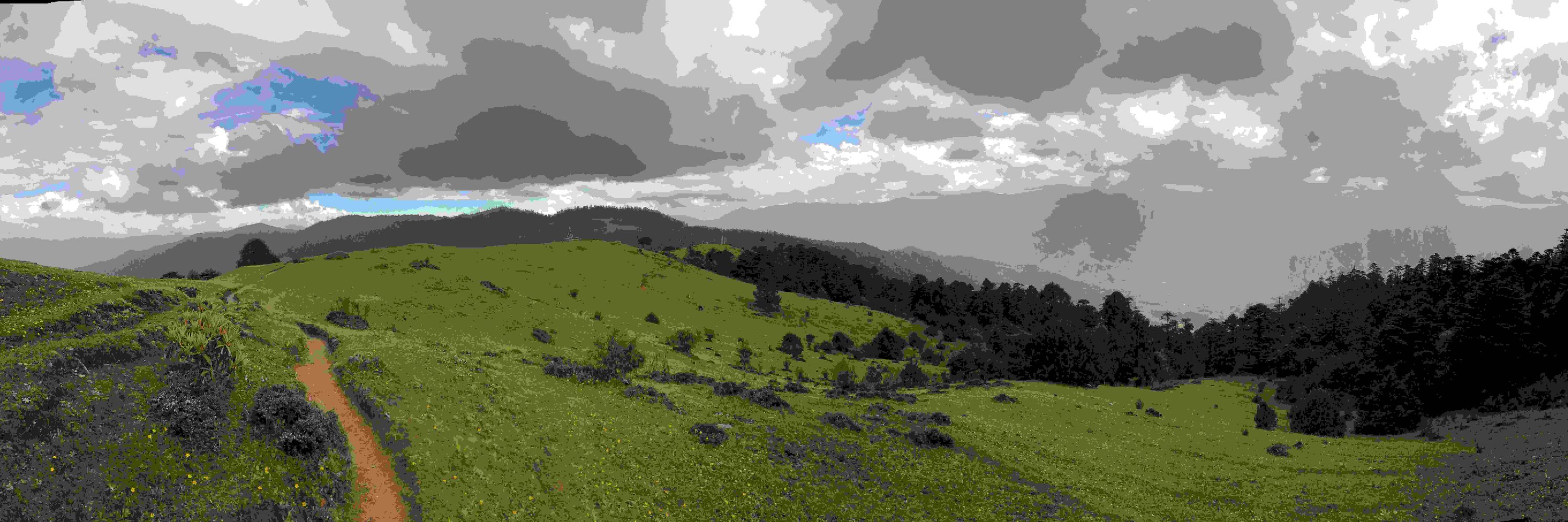 Planscape