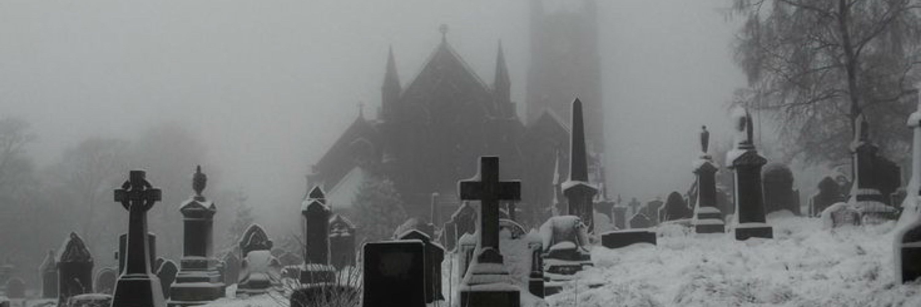 𝕮𝖍𝖆𝖗𝖑 🦇