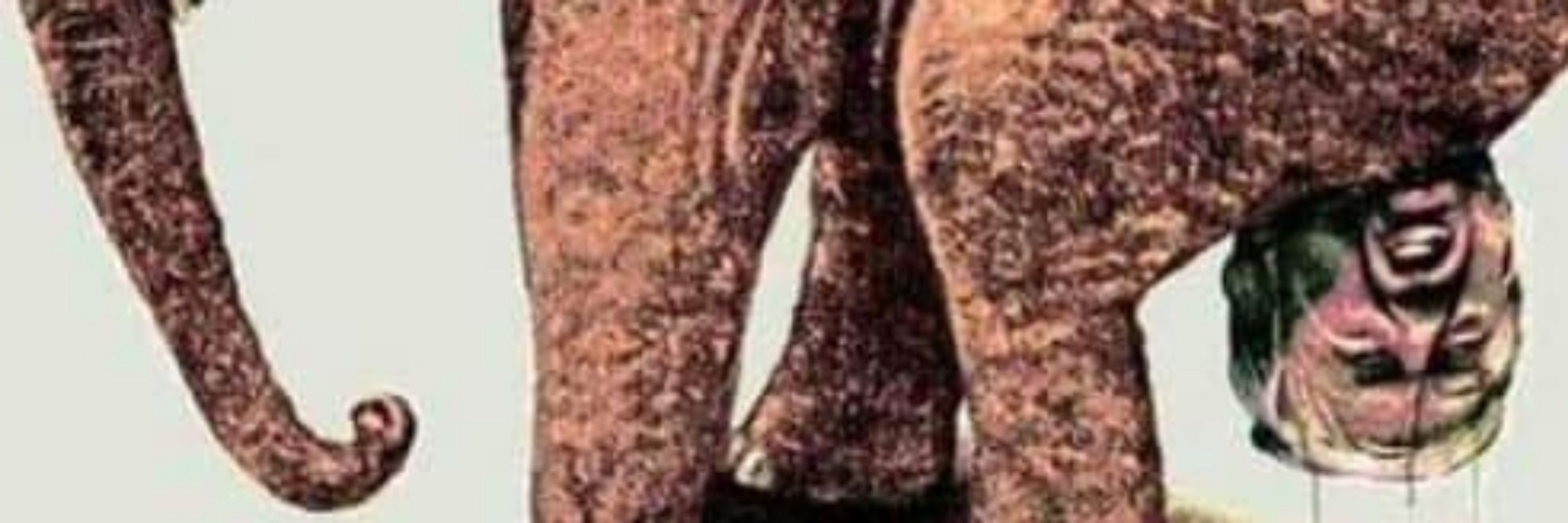 David Raoul Warnke