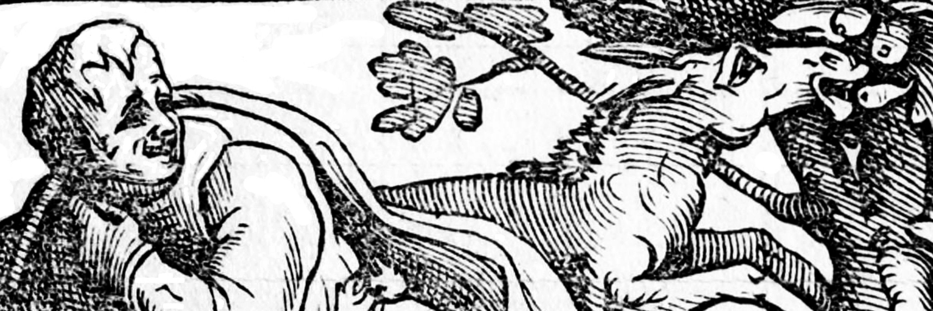 the ass who killed chrysippus