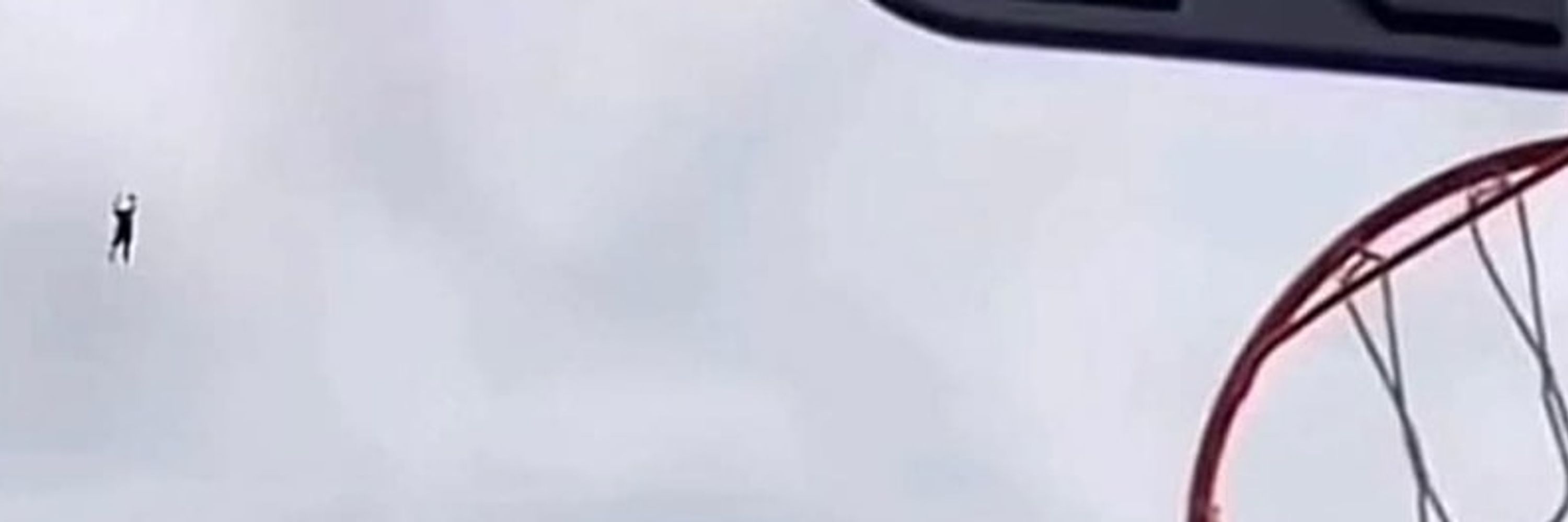 LitTheFox :unverified: