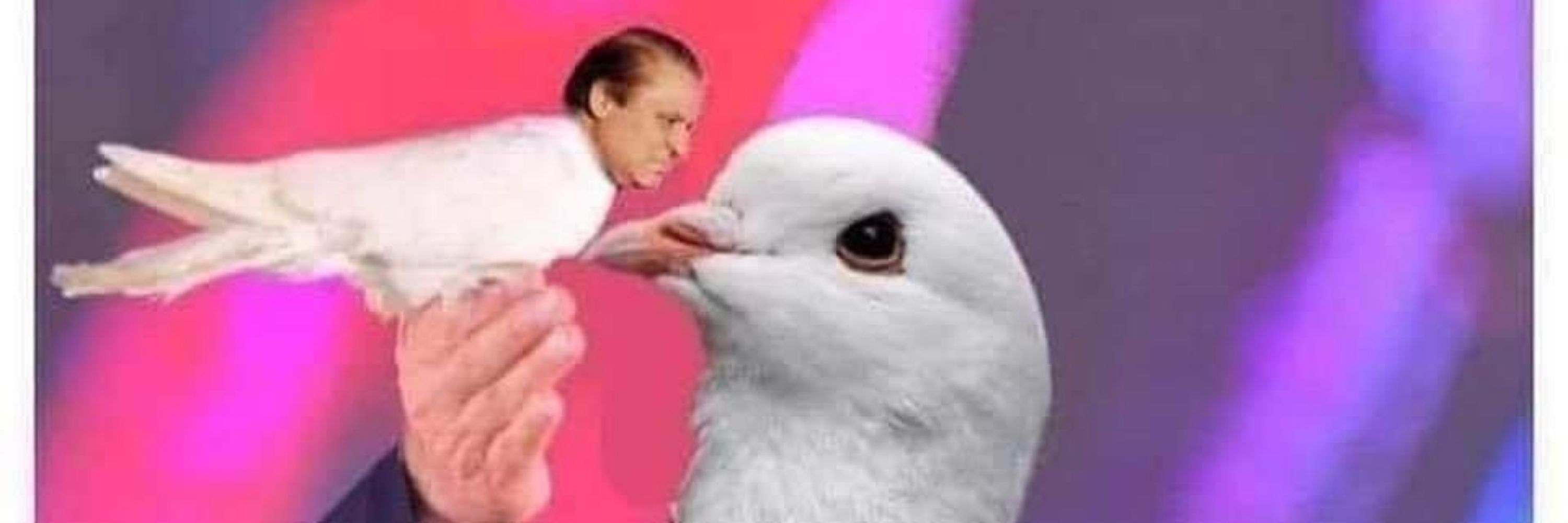Niazi khan