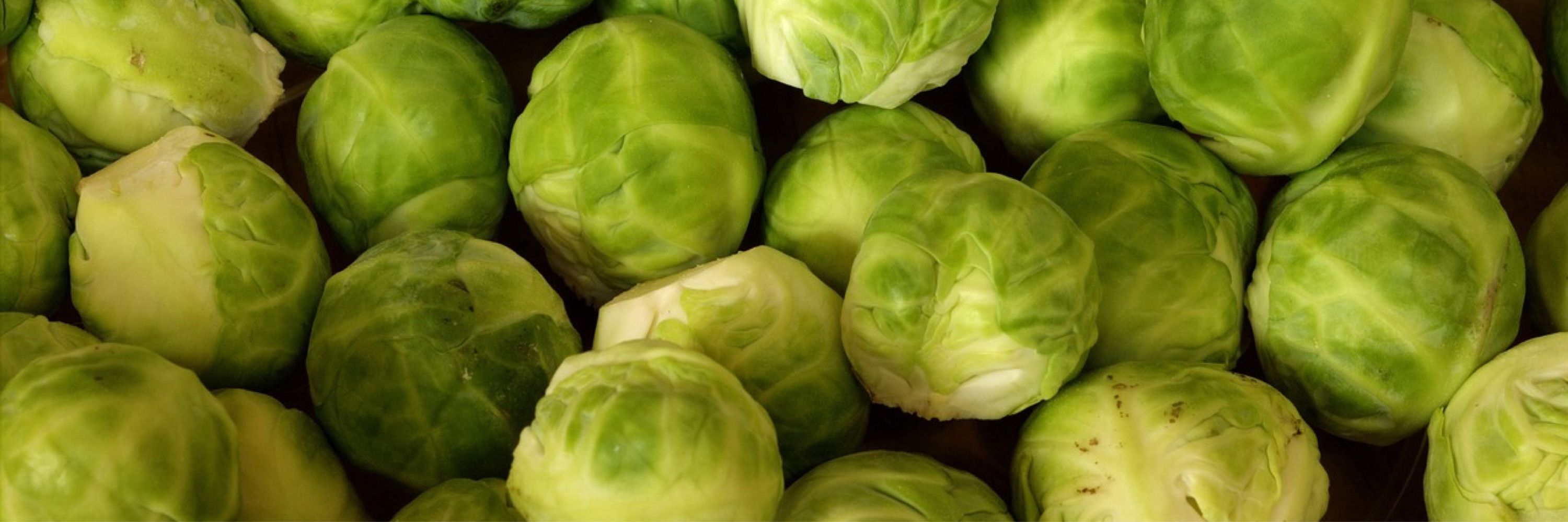 Sprouts