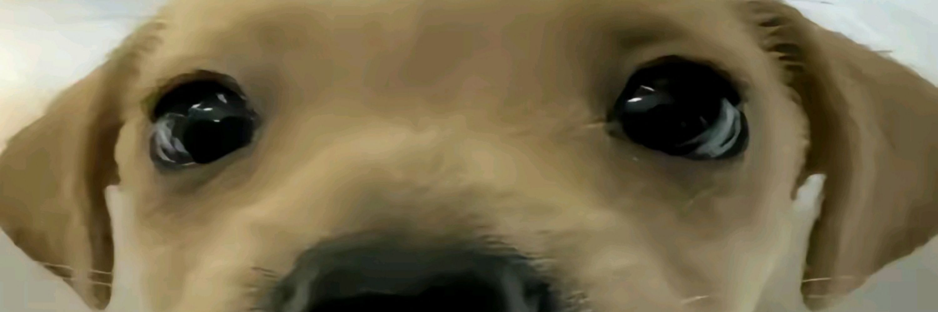 Isa