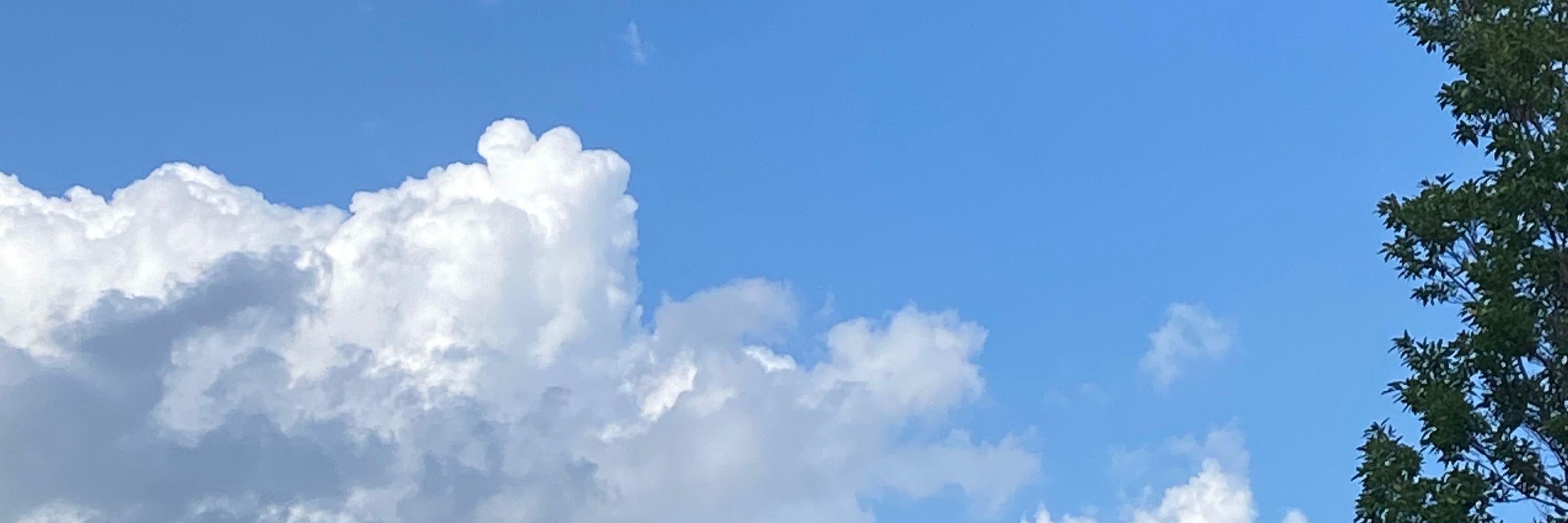 푱