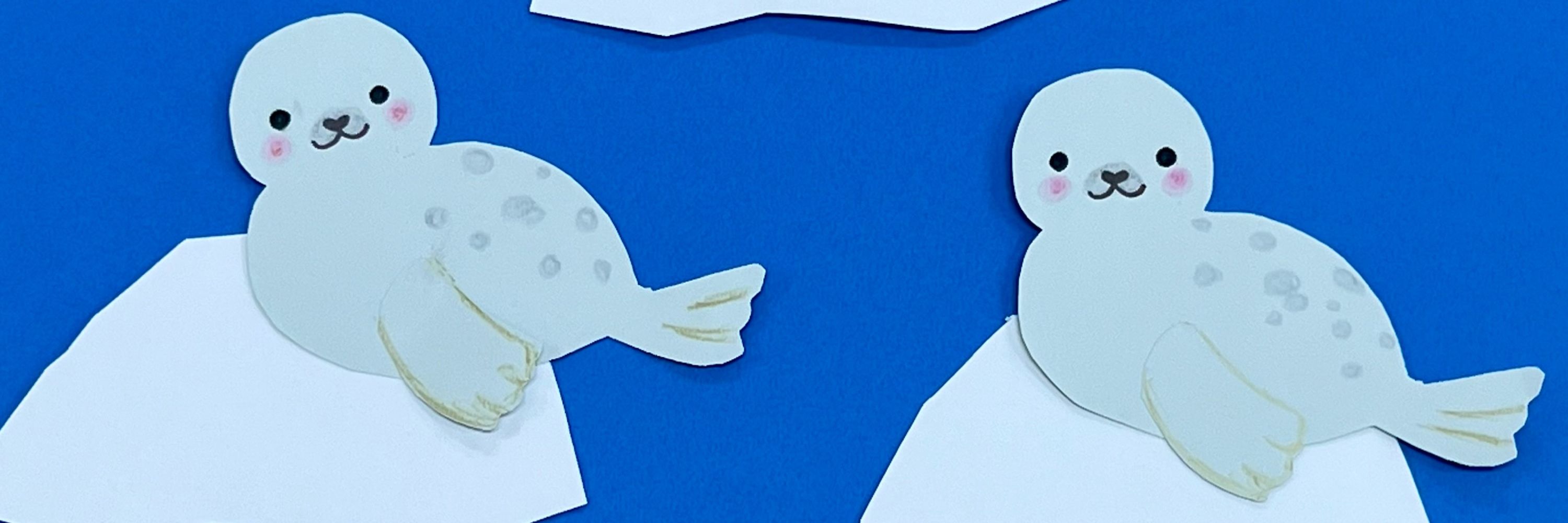 こぐま🧸