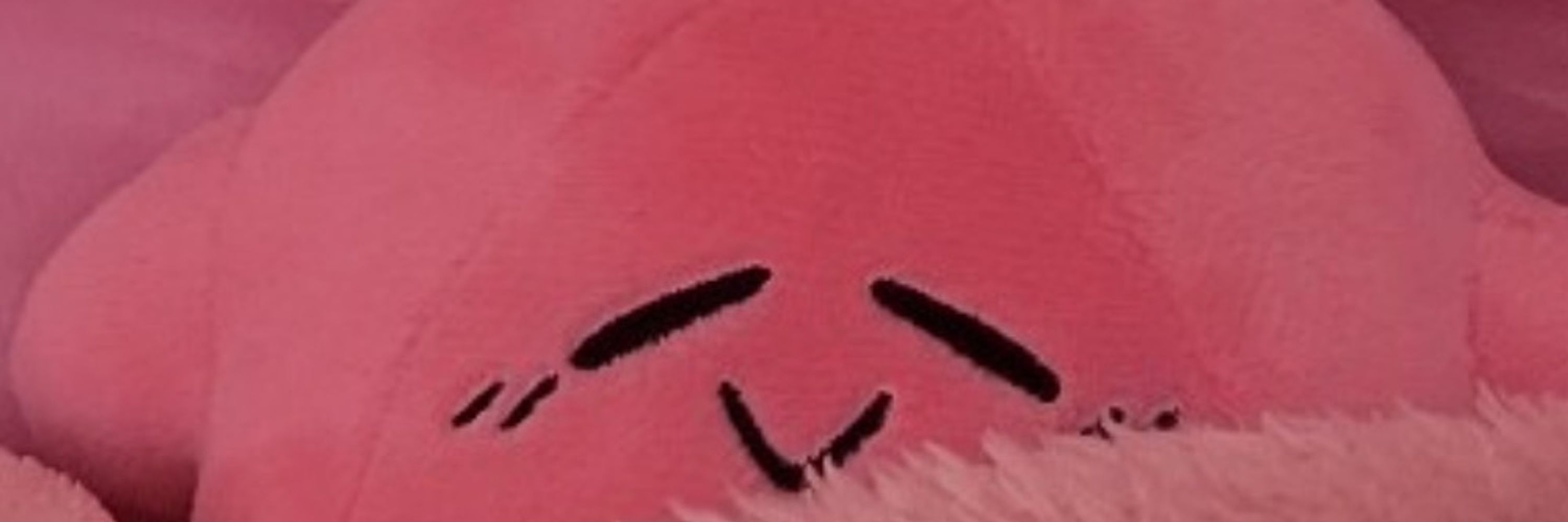Derp Kirby