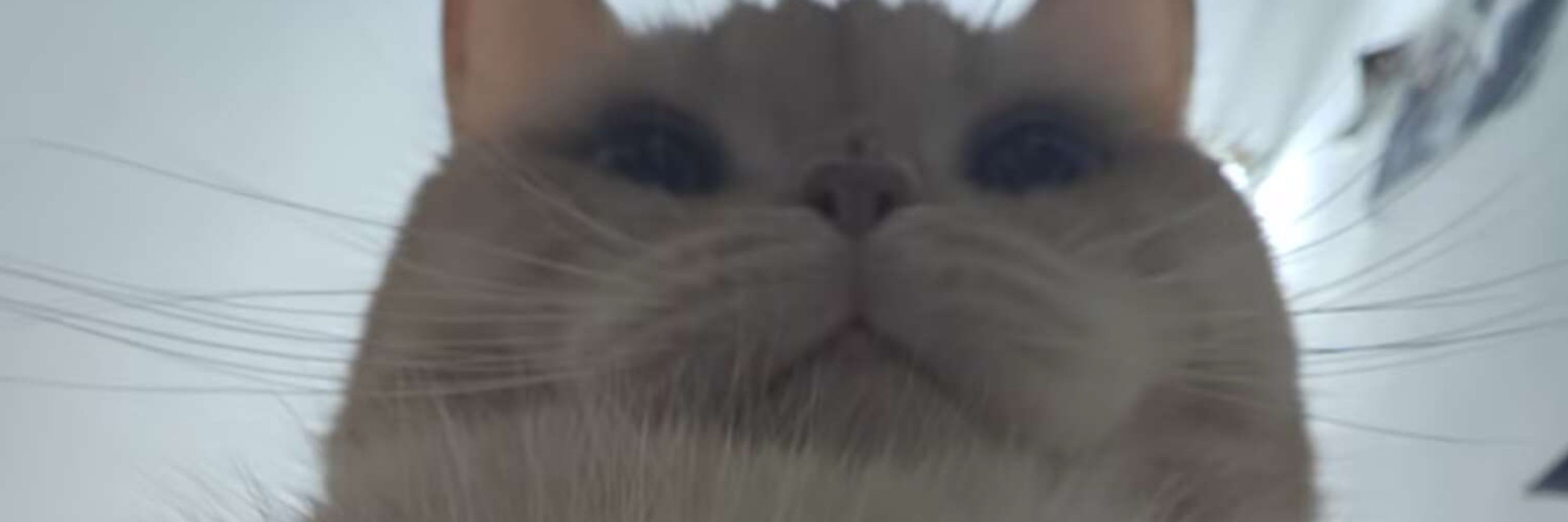 宙間池
