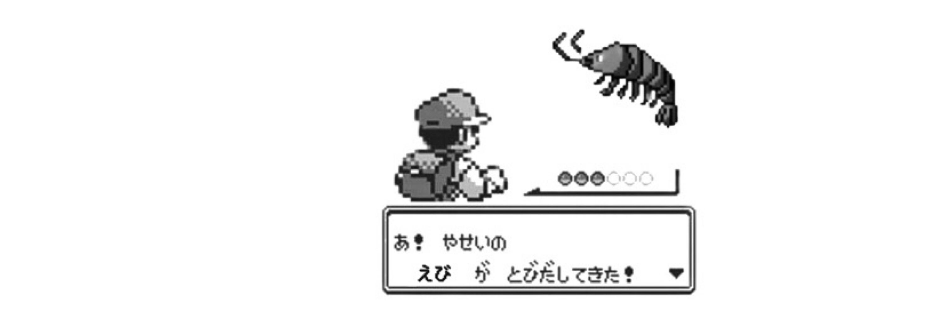 えび🥴