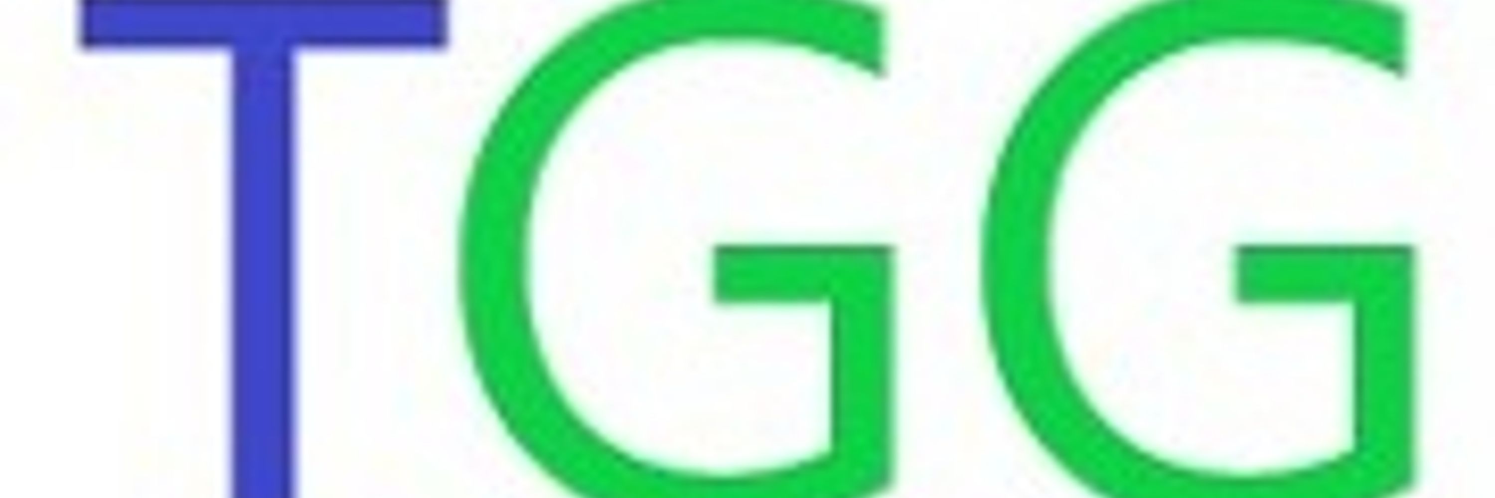 The Gamers Grounds