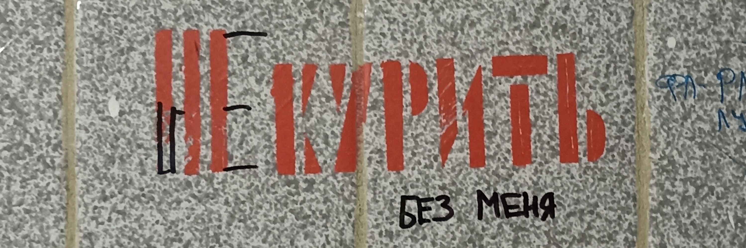 Зе твайлайт || всё ещё немного муррзик