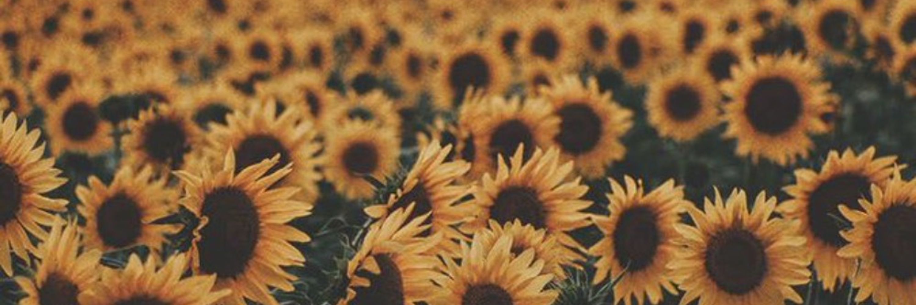 Erin🌻