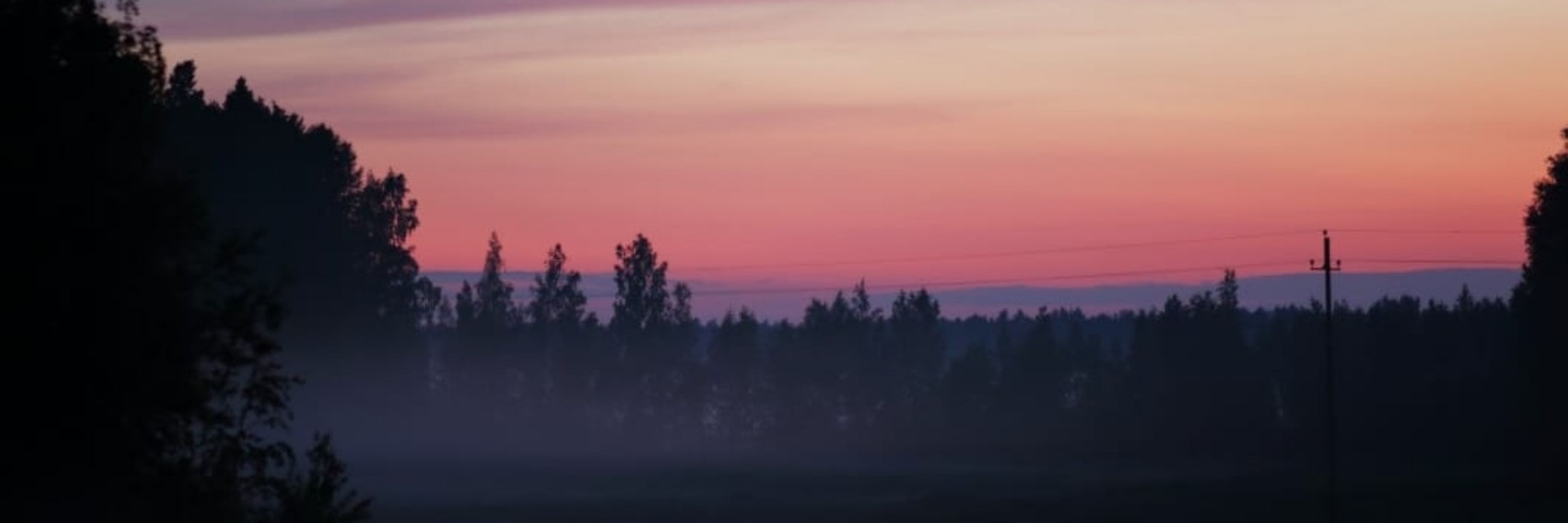 Terhi Törmälä 💚