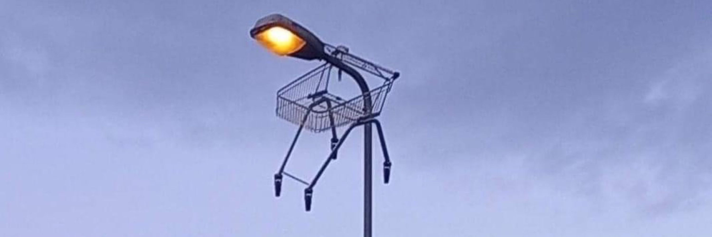 Onat Önol