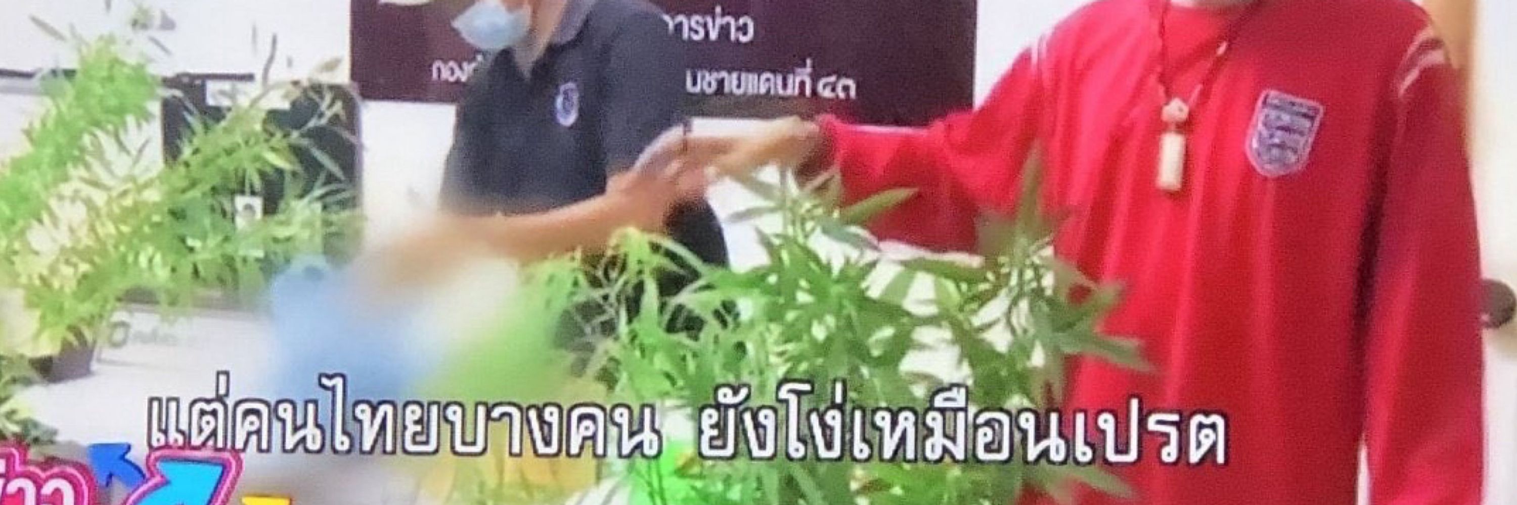 NaepIng สาขา🔞/ลงwip
