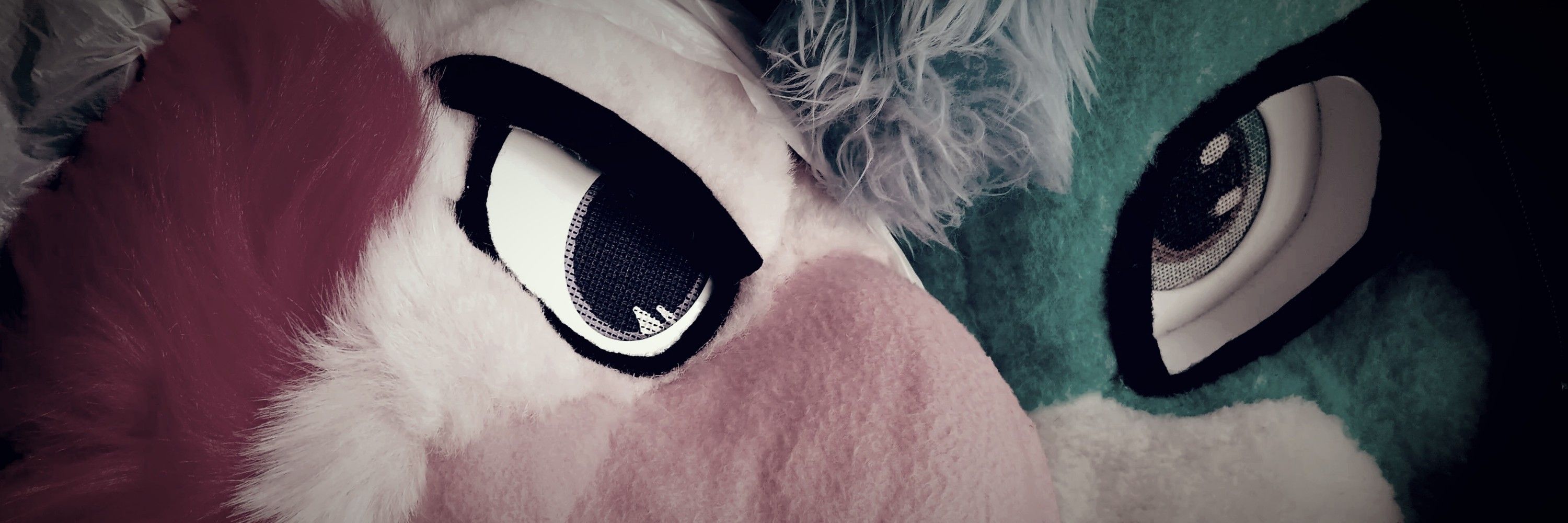 CosFur 🔜 FWA