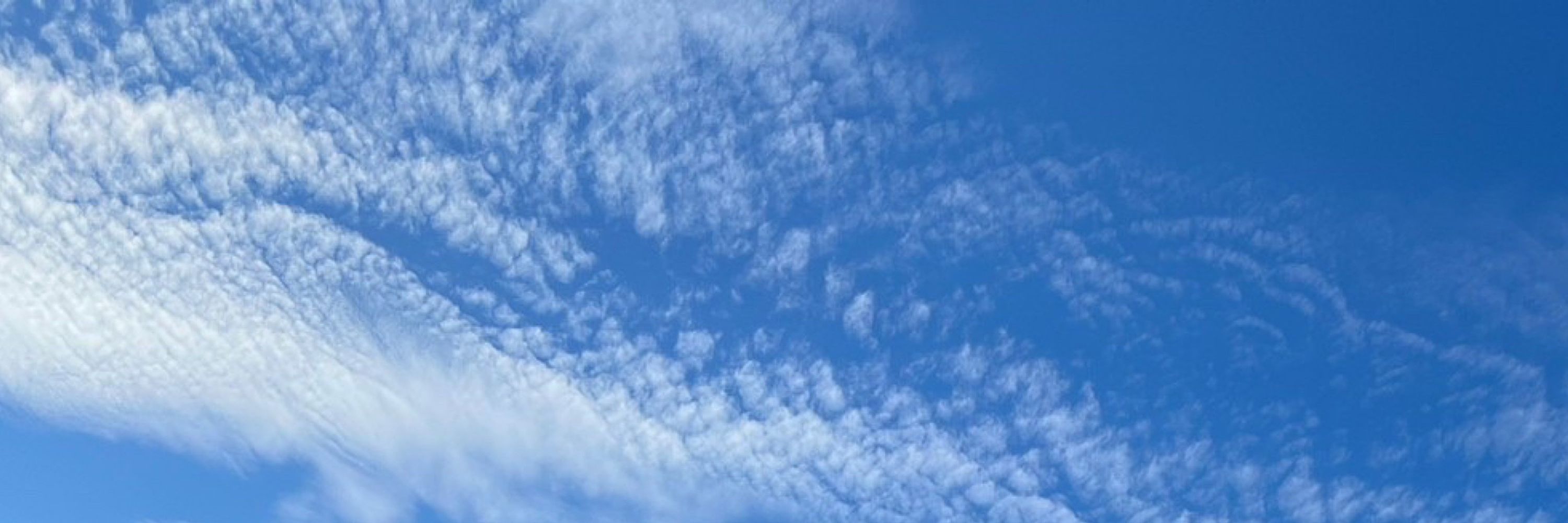 空白うみ
