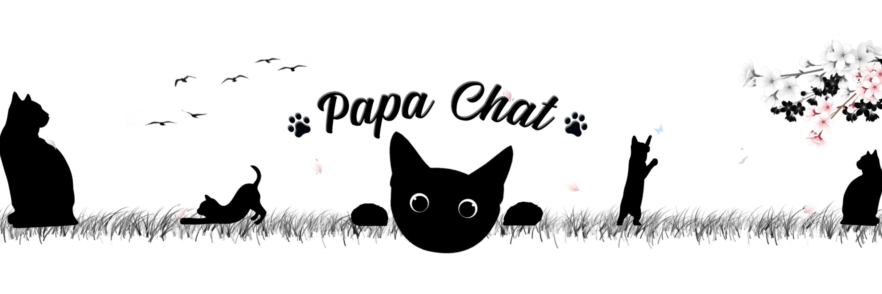 Max Lander / Papa Chat