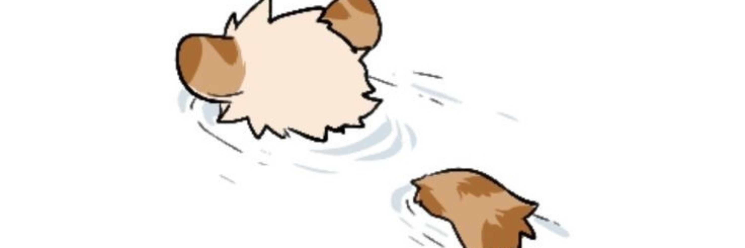 Shen.Kaisun