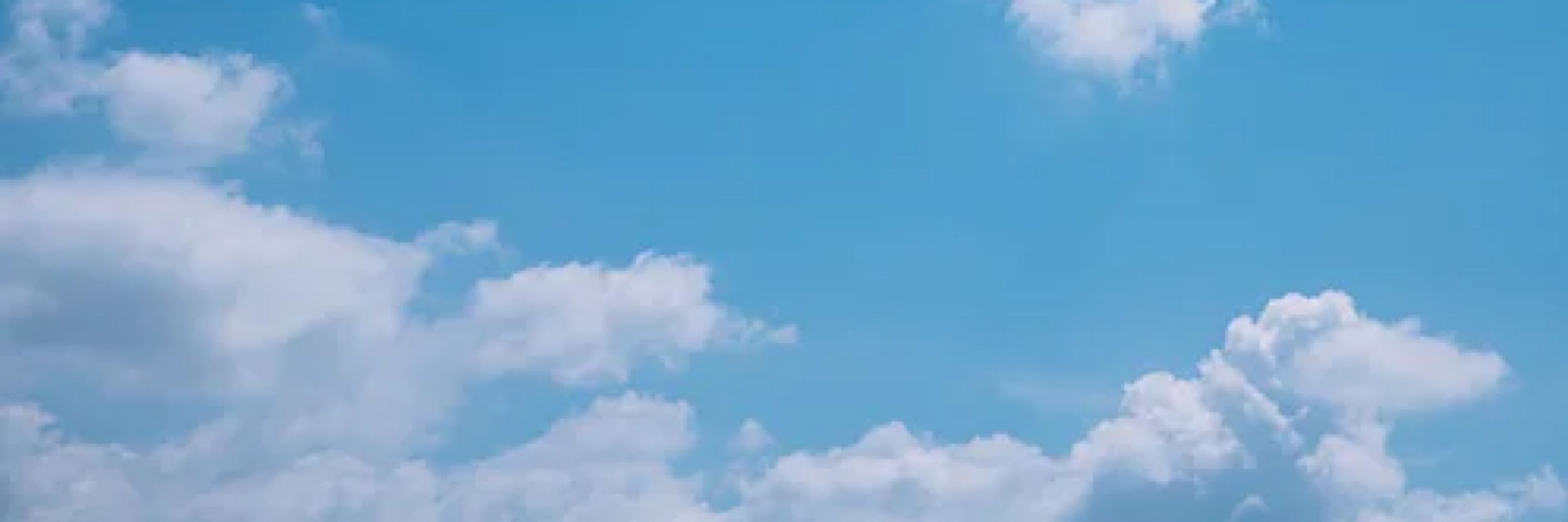 ぴよ