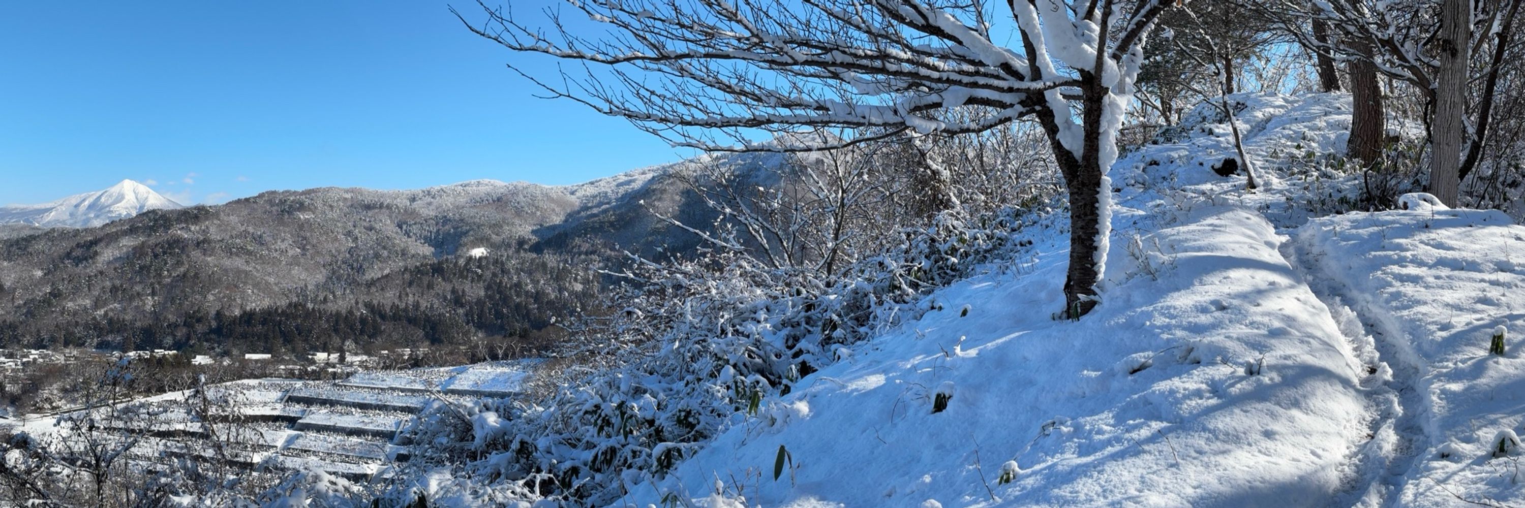 AizuYabanjin