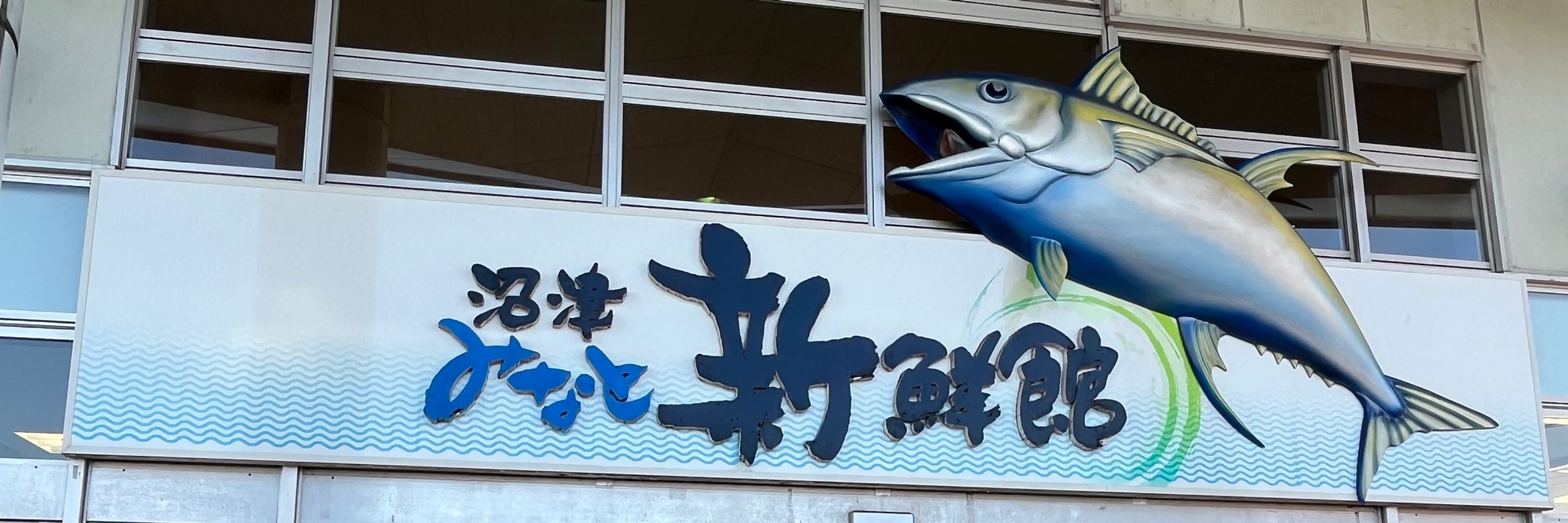 ぬこたん