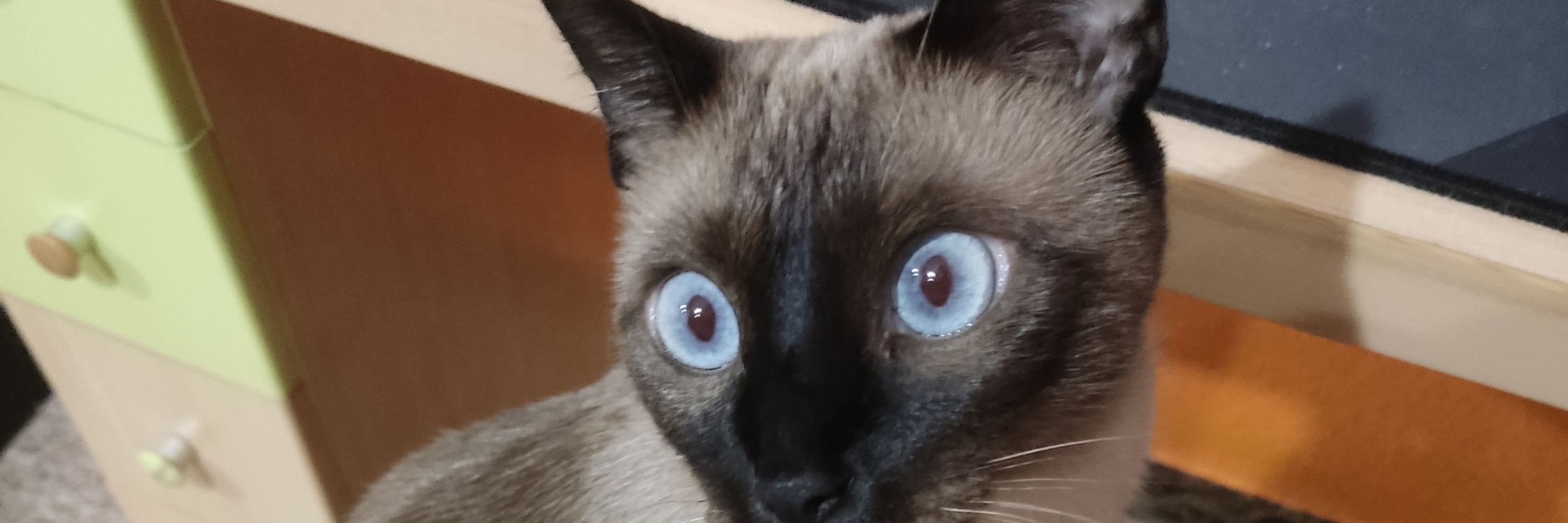 Ruperkun