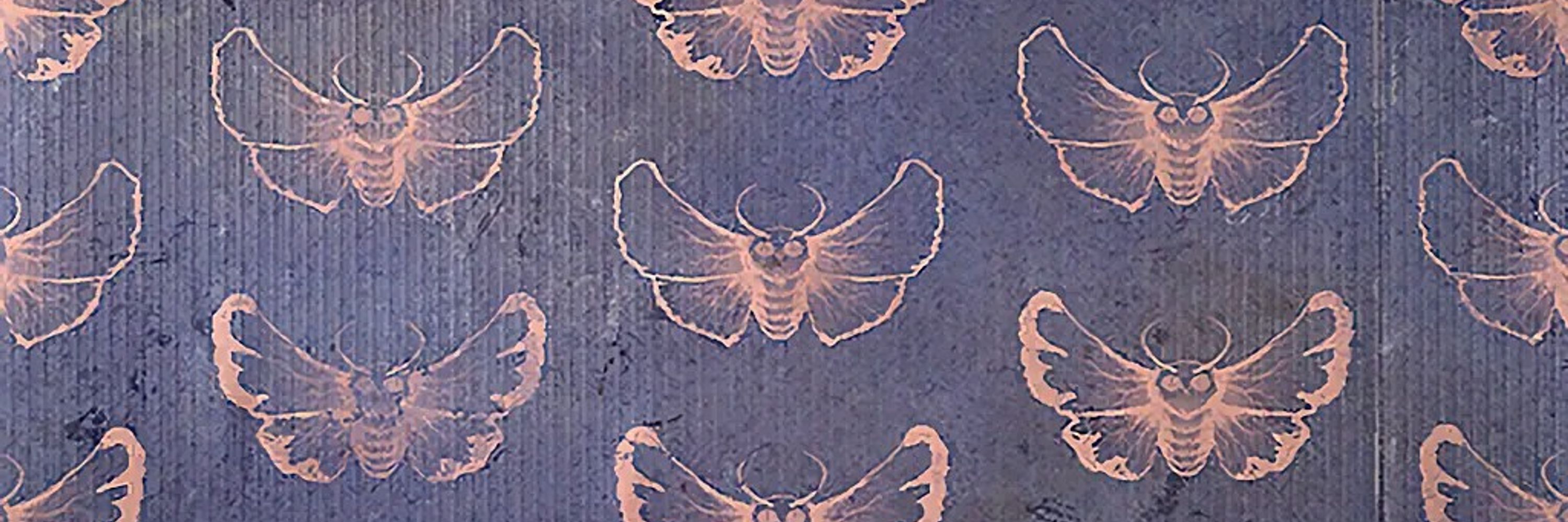 Moth