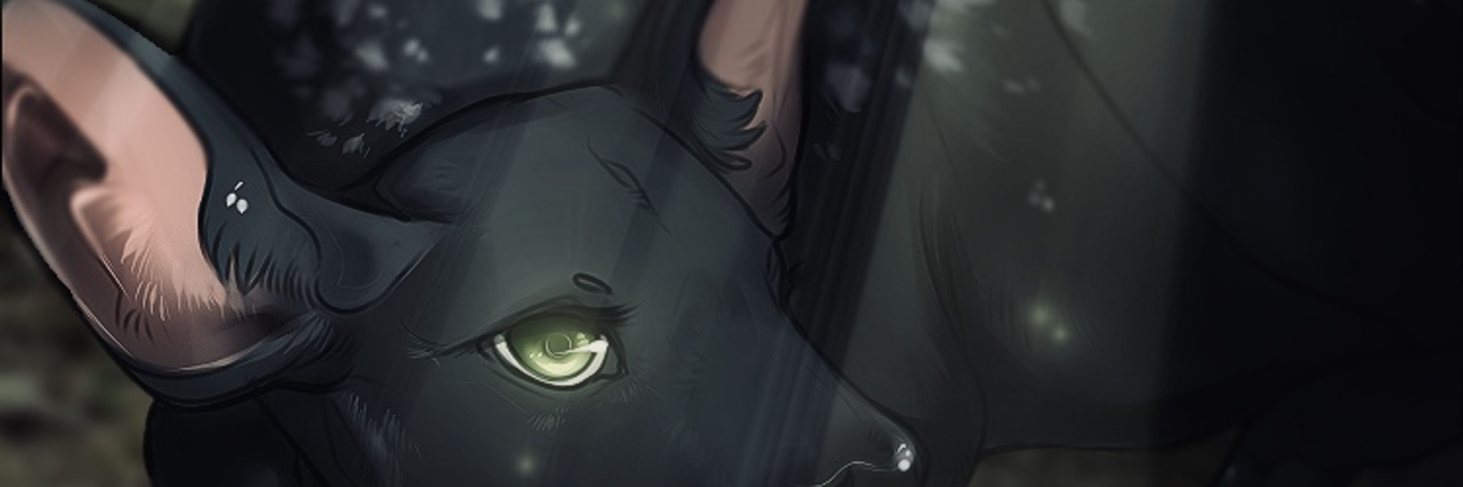 a sentient star ♒