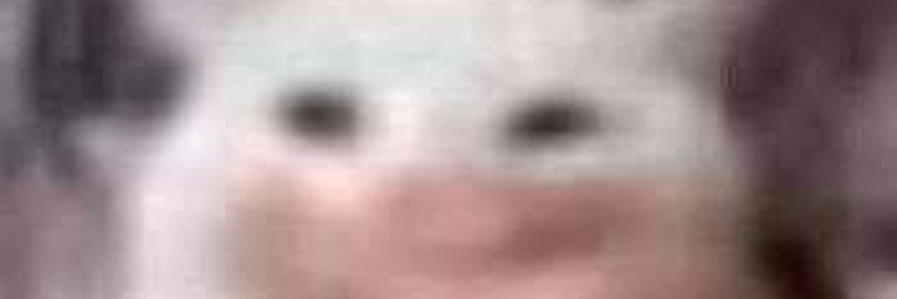 🍮