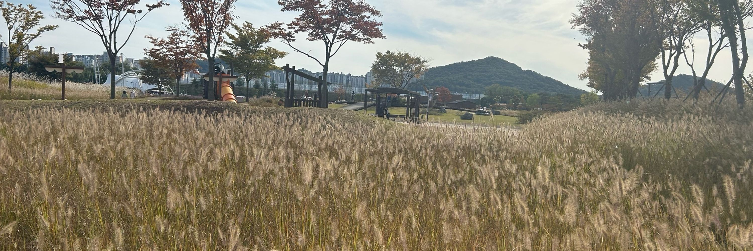 백다니