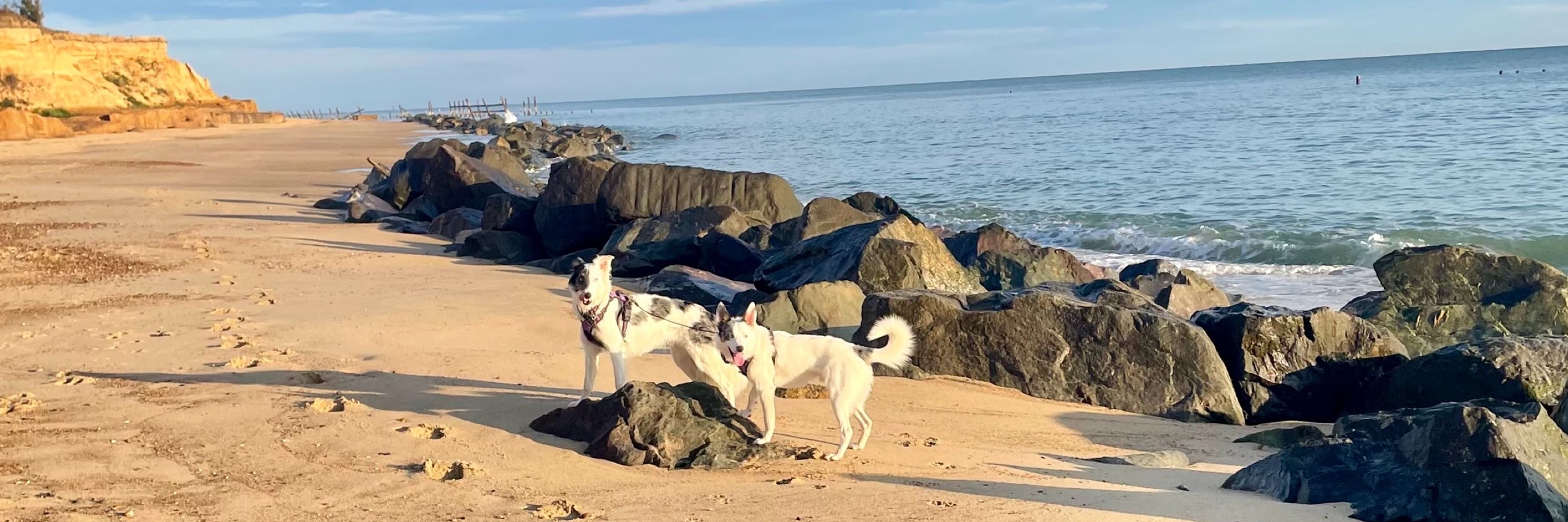 Rosie and Casper