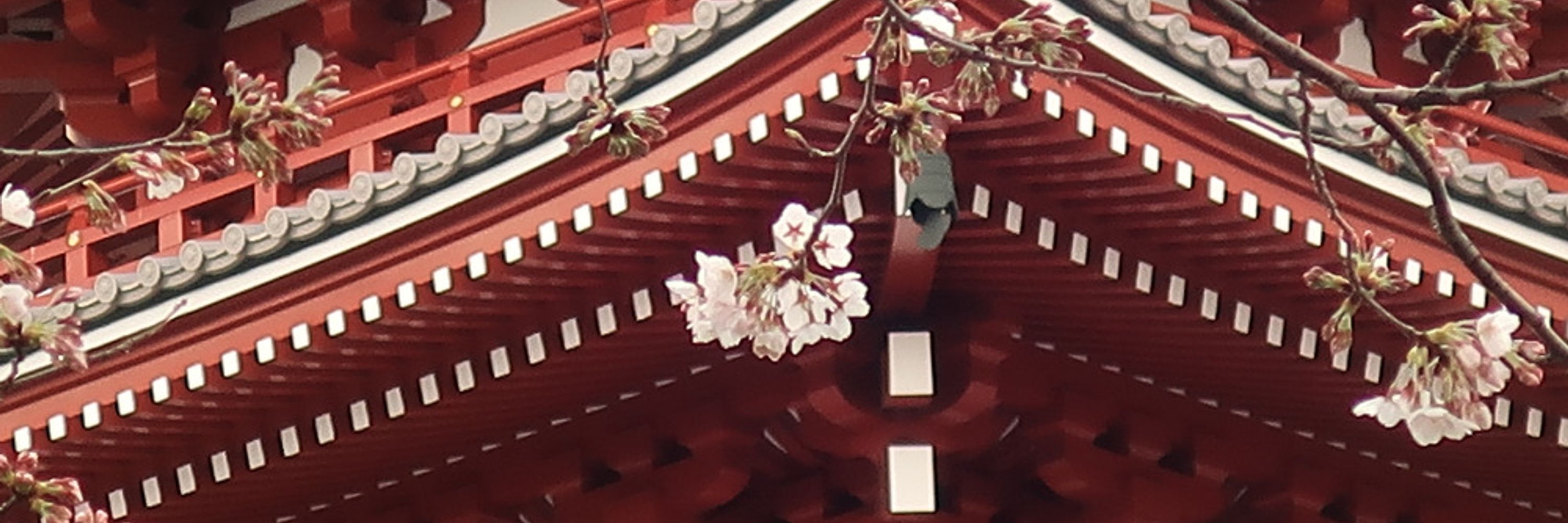 Hikki