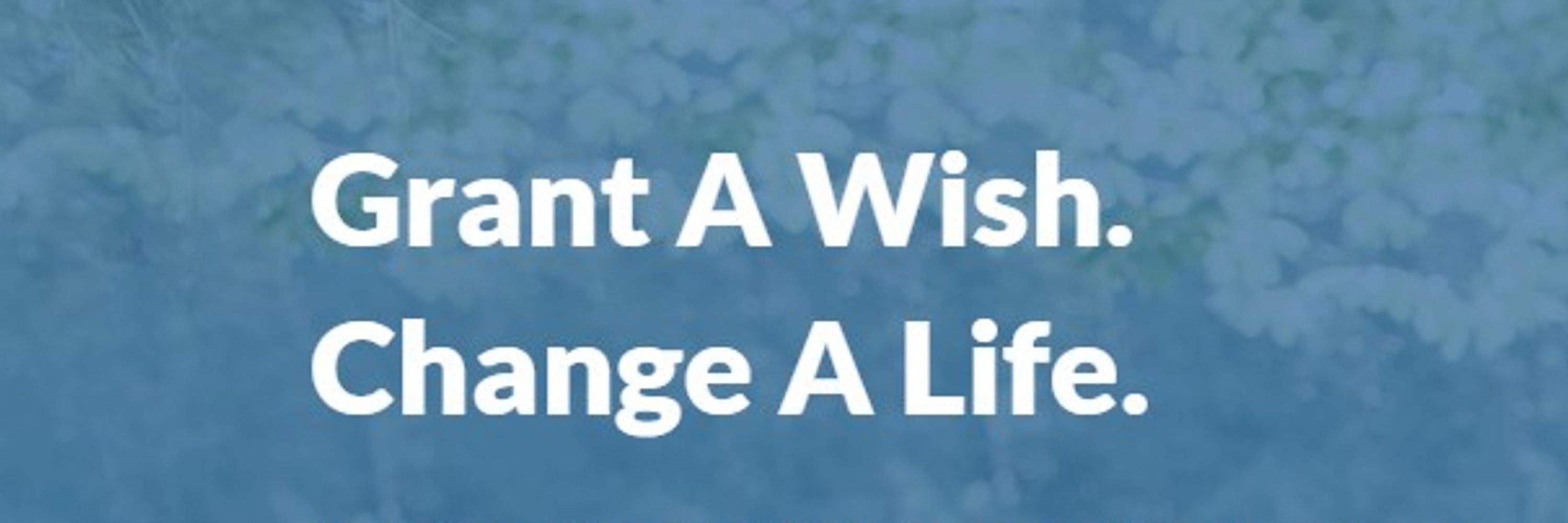 One Simple Wish