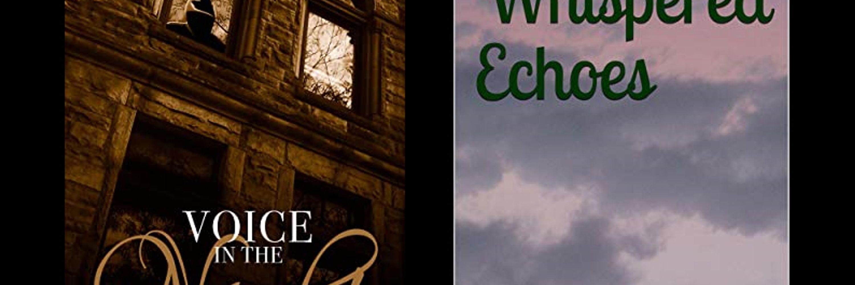 Amy J. Wilber-Author ✨is querying paranormal crime romance✨