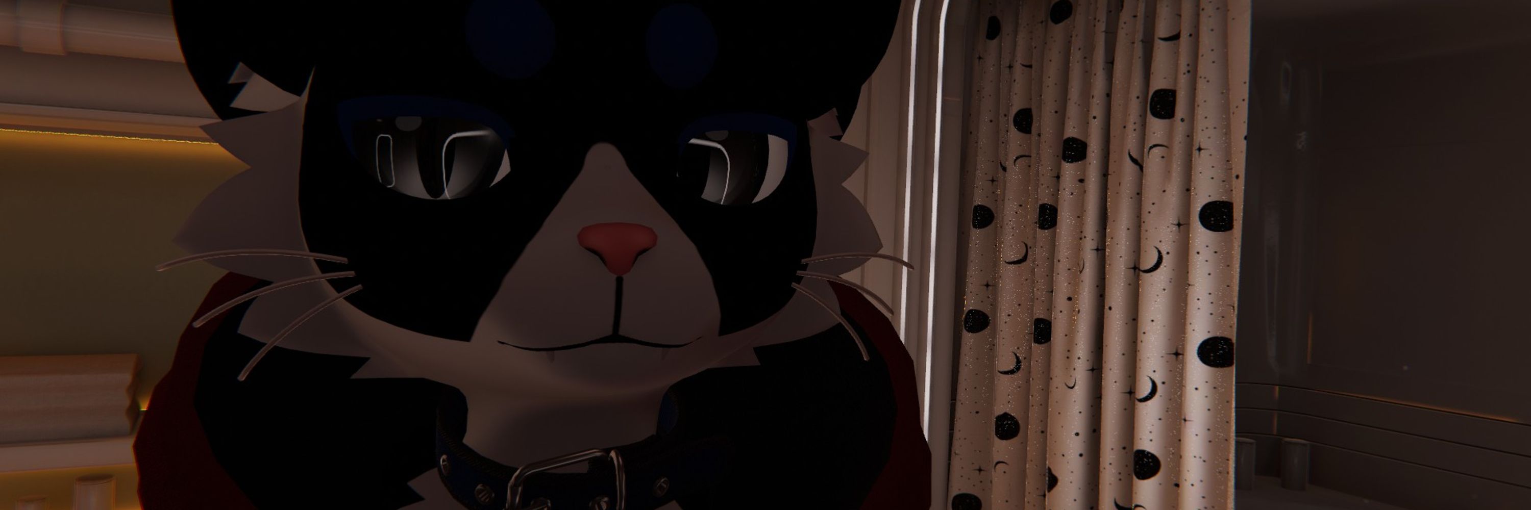 NekoDcr