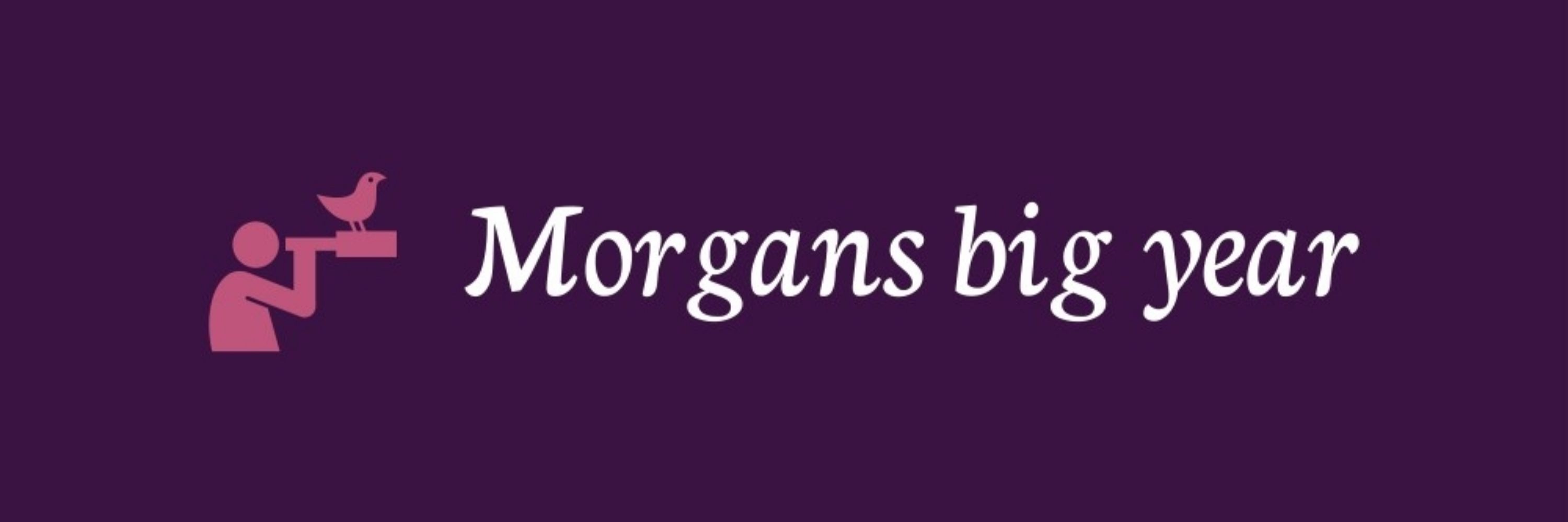Morgans big year