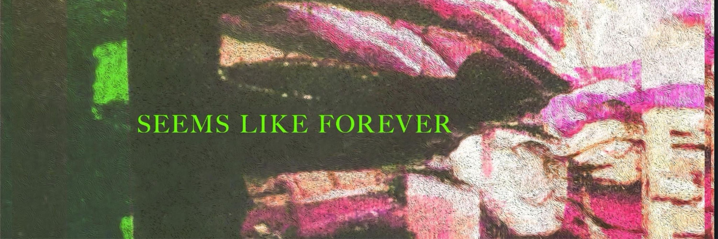 Seems Like Forever
