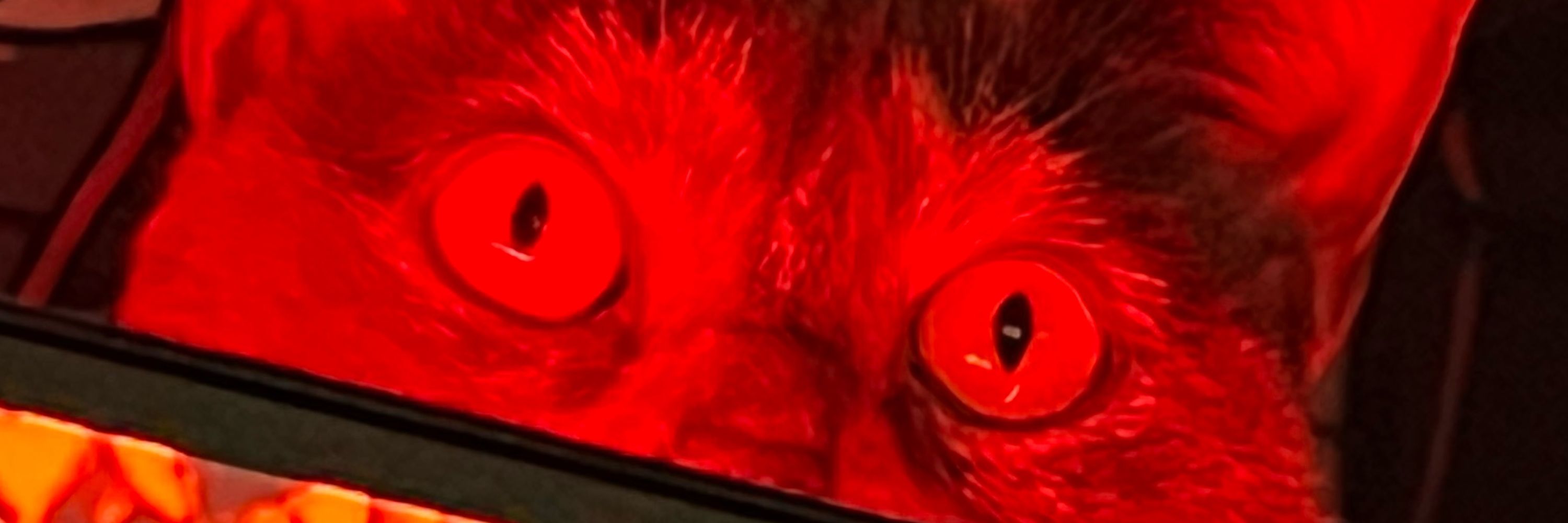 Vada 🗡️🦇