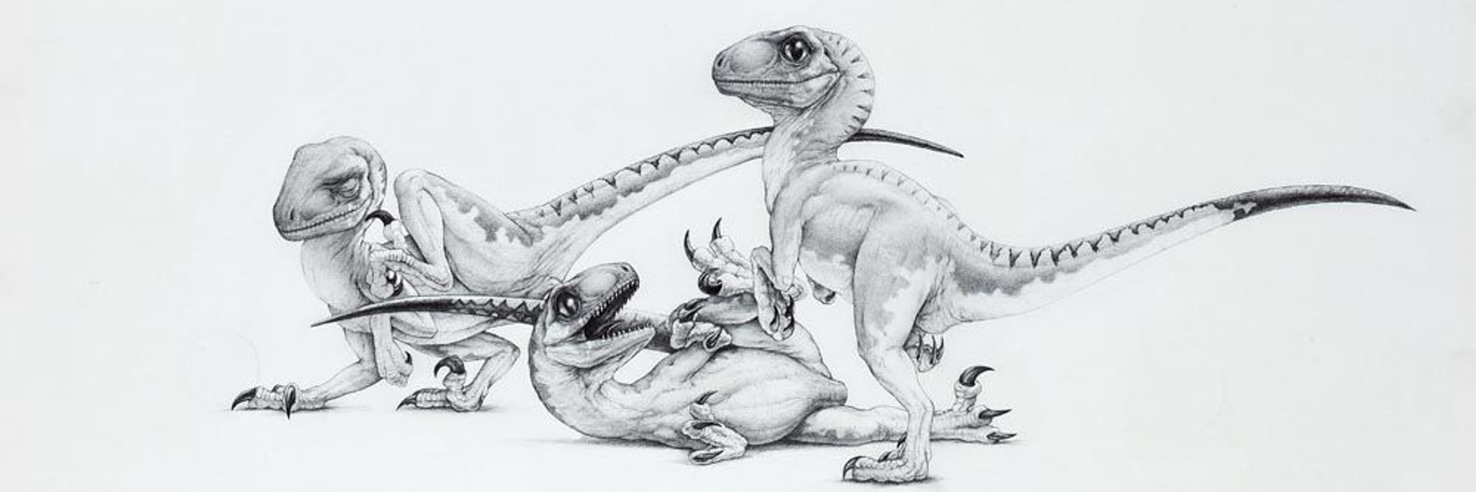 Raptor Technologies