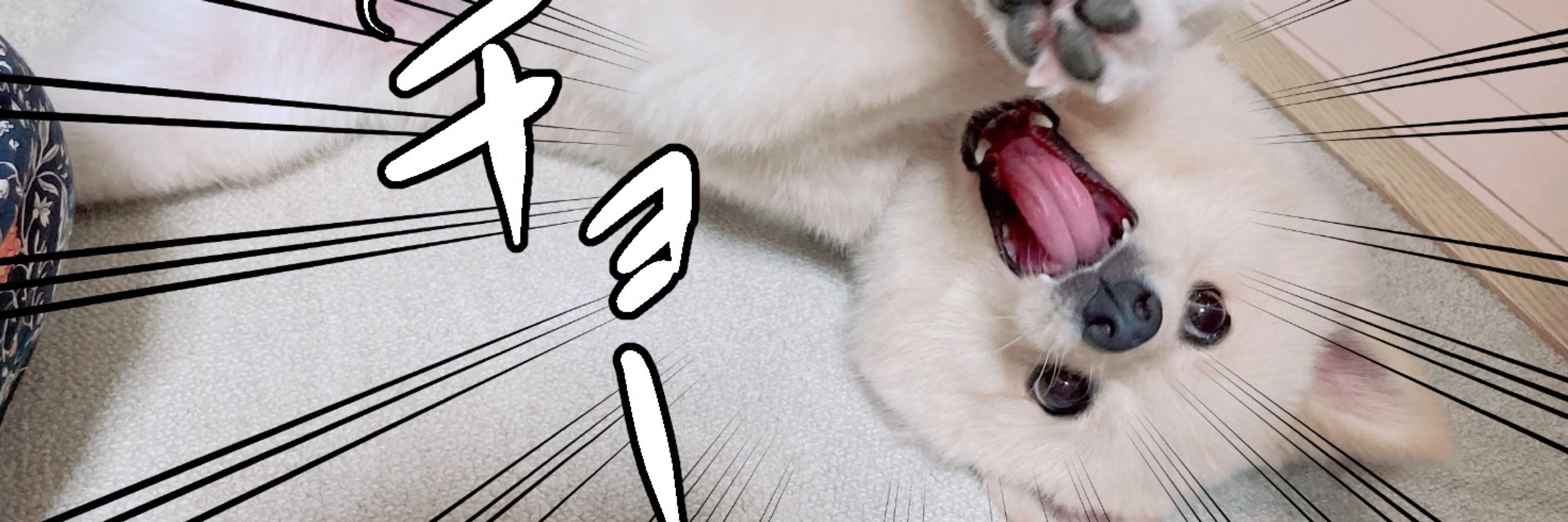 もものいろ