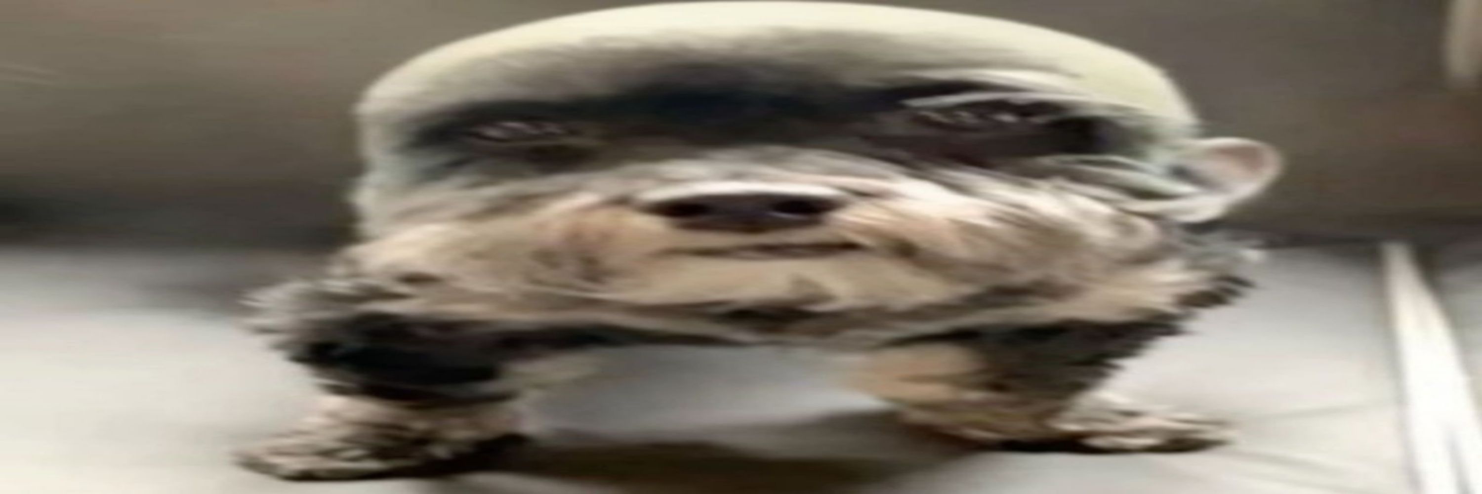 kahuan